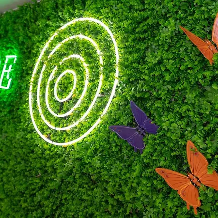 Zoe Hotel, Trypiti & Hive Water Park Hotel Limenaria (Thasos)